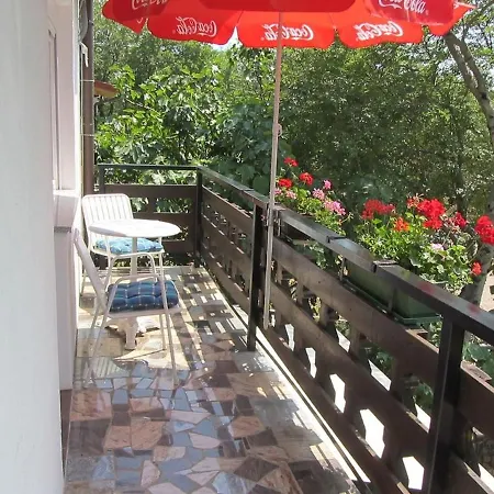 Marijana Guest house Srsici
